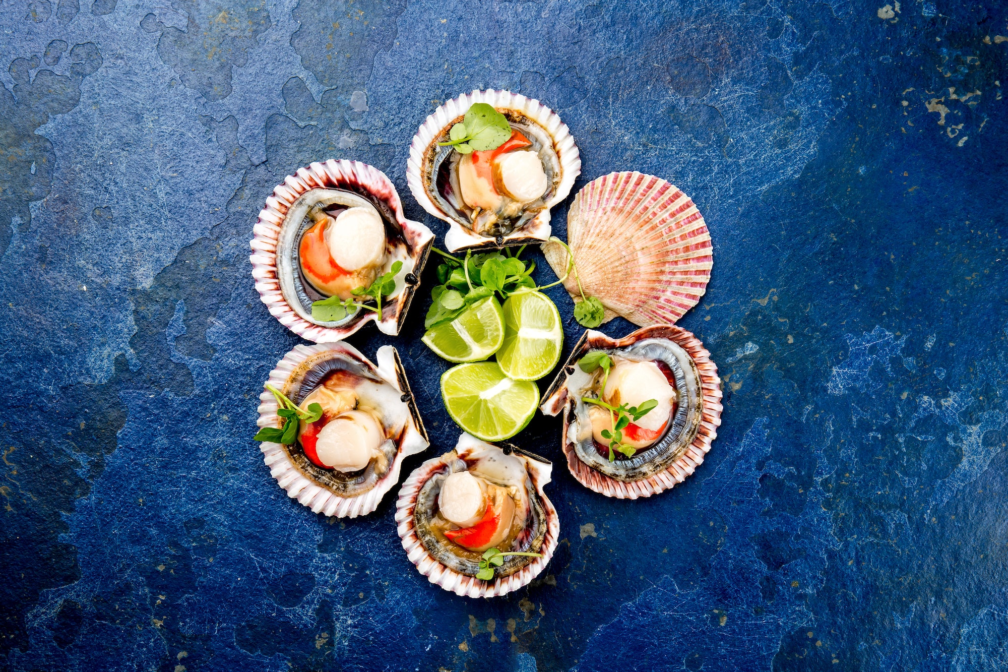 Raw opened shellfish scallops on blue background.