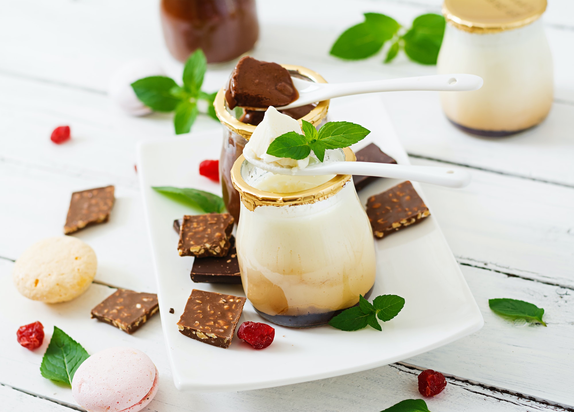 Chocolate and vanilla panna cotta (dessert)